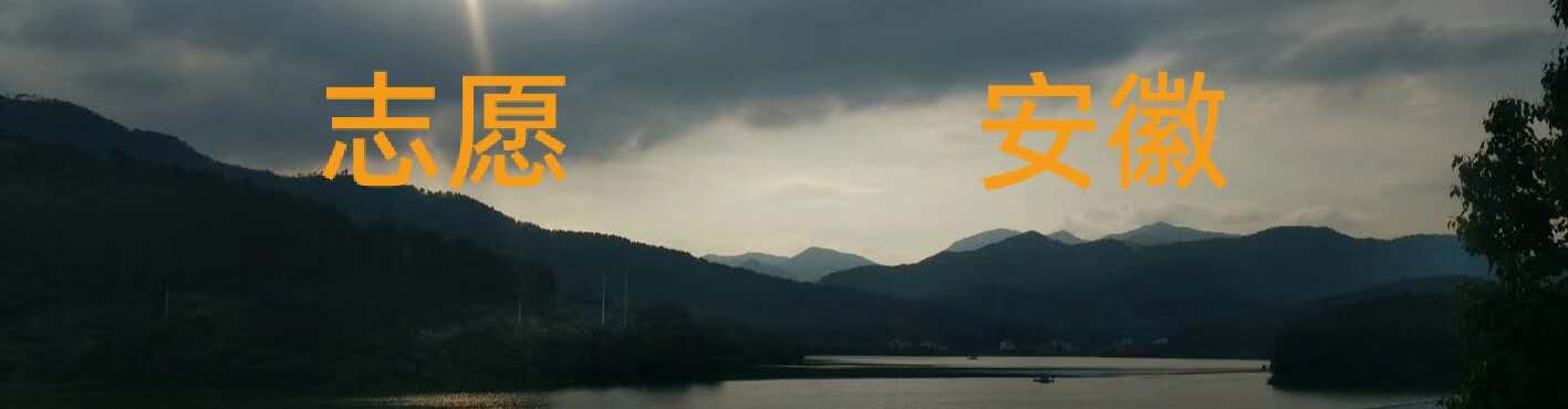 文明六安有你有我,文明有我志愿安康启动仪式