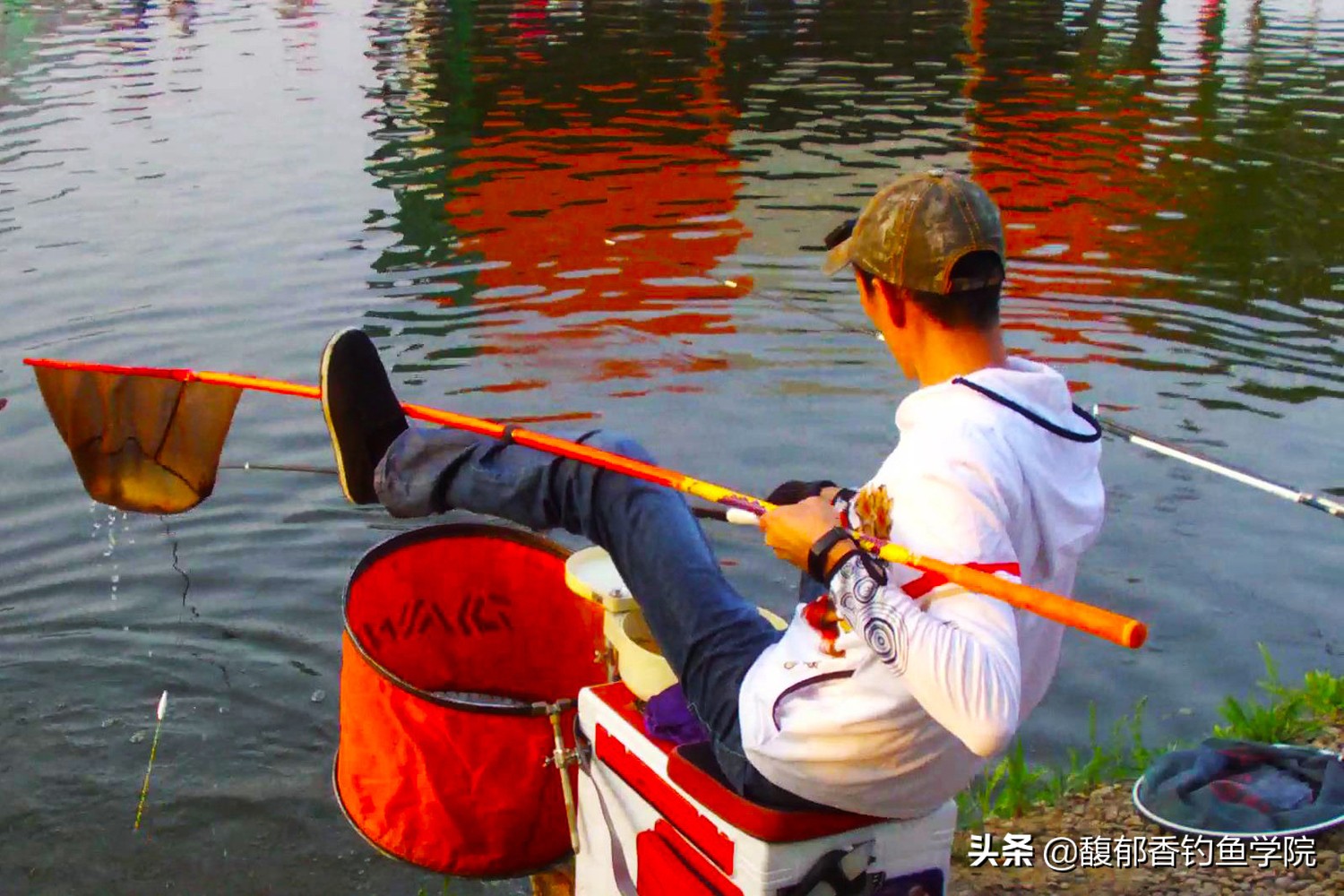 新手钓鱼鲫鱼入门教学视频,钓鱼新手入门视频教程动画