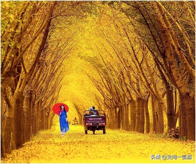 孙权是江苏人还是浙江人,三国东吴孙权出生地