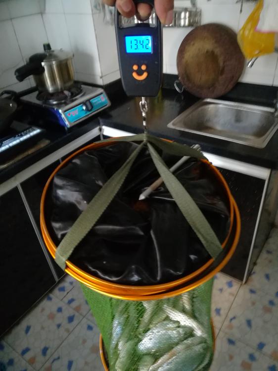 本汀神鹤战斗8.1测试,本汀神鹤爆强硬测评科学钓鱼