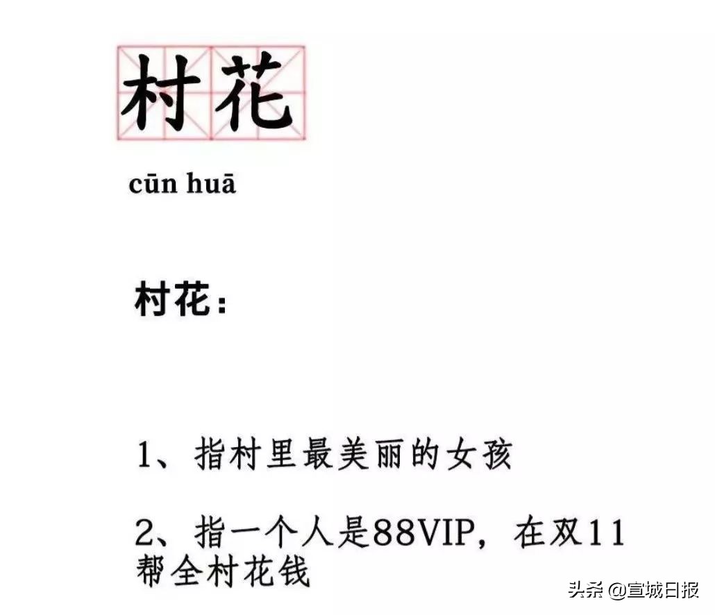 七亿人都买不过的宣城“村花”,今年双十一花了这么多钱