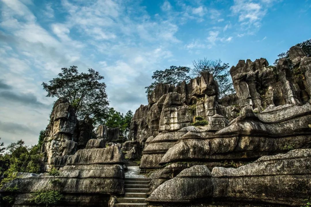 游玩半价票,雁荡山周末半价票