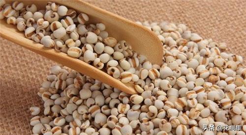 薏米祛湿气最强的搭配,薏米调理脾胃
