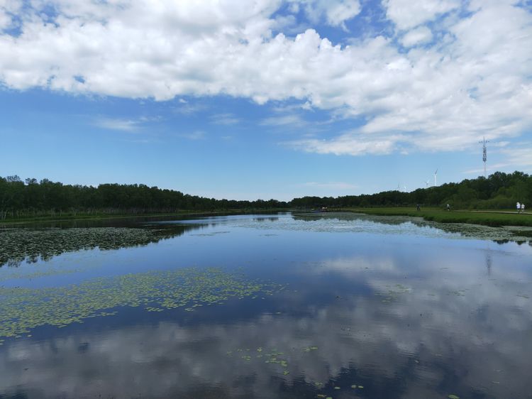 美丽的高岭塞罕坝,美丽的高岭朗诵