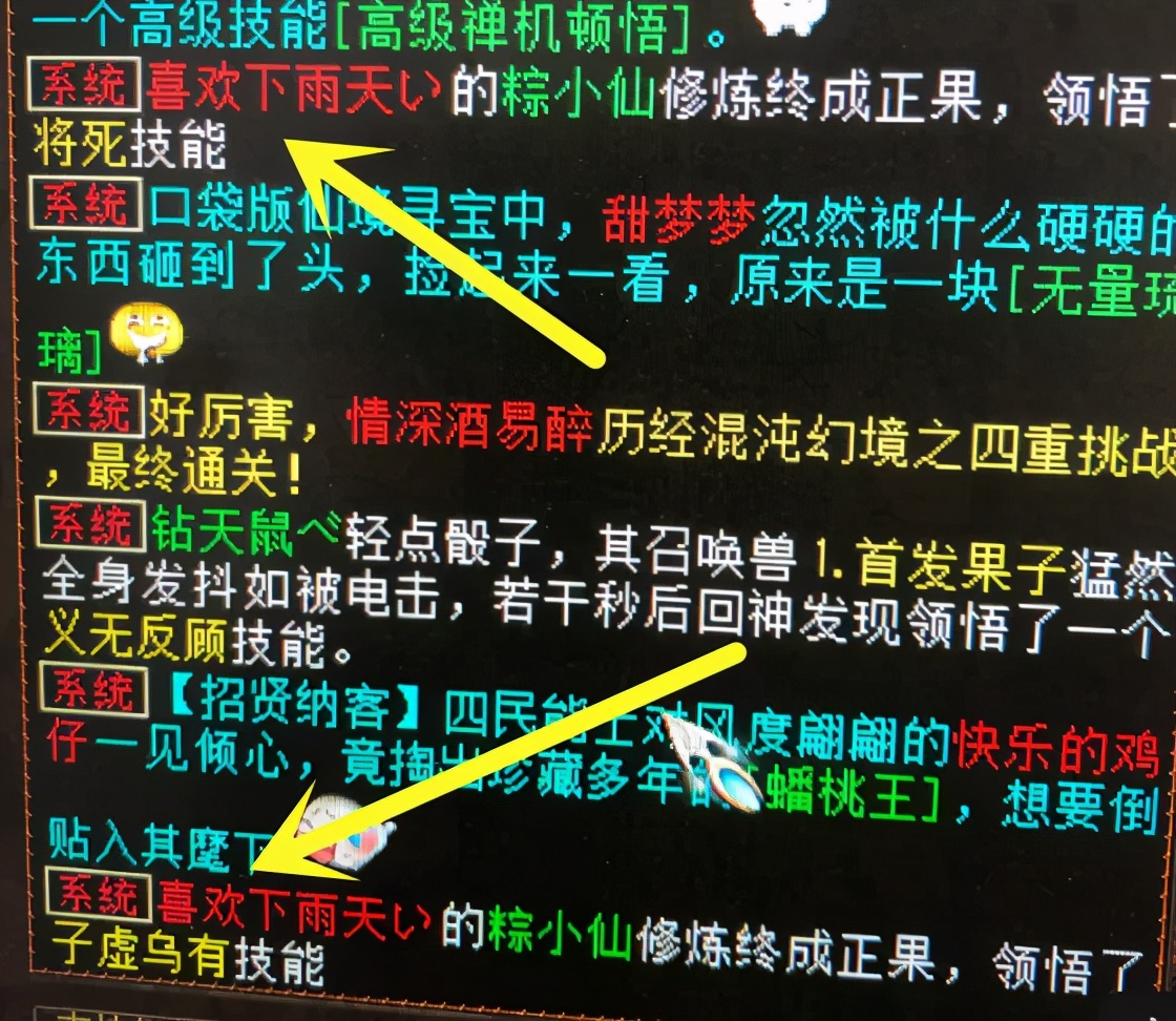 大话西游2粽小仙元气丹合成费用,大话西游2免费版粽小仙