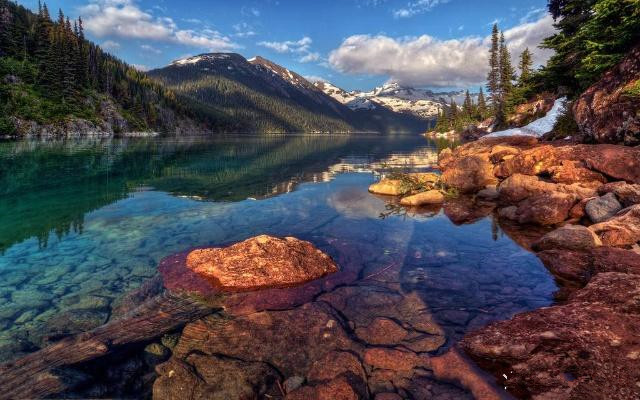 尼康唯卓仕851.8和永诺851.8哪个好,尼康佳能单反怎么选