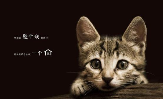 你醒醒抖音,你醒醒完整版视频