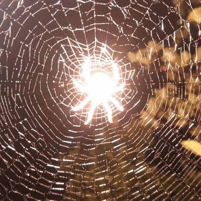 考清华北大其实很简单,有没有谁考清华北大很容易的