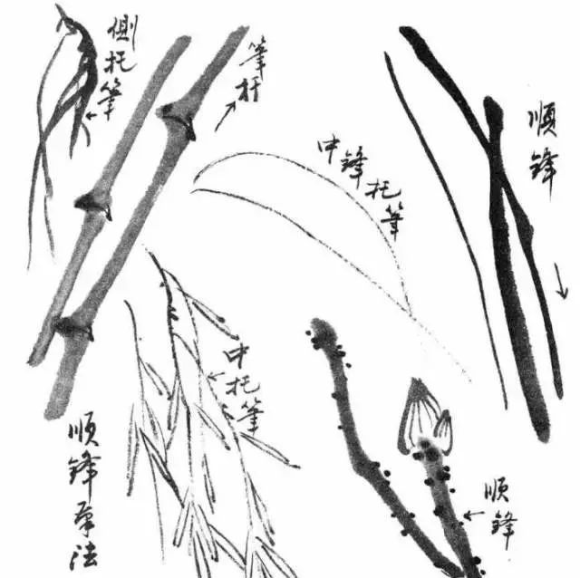 山水画初学入门基础知识,山水画入门基础自学