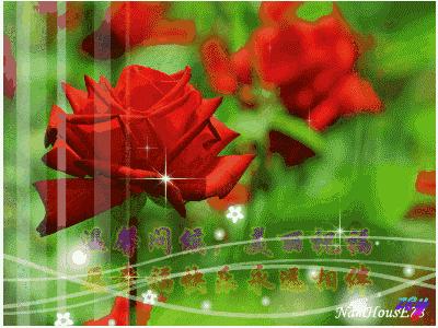 最新早晨好图片问候表情包,2019早上问候动态表情图