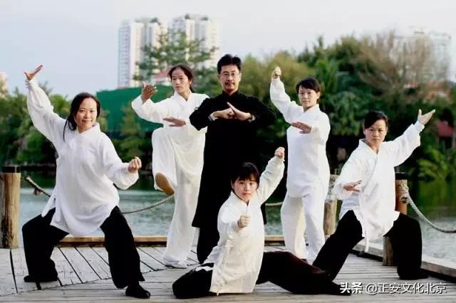 速来围观扫黑除恶漫画,武当太极二十八势陈师行