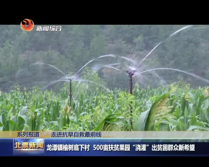 北票农业扶贫产业园,辽宁省北票市龙潭乡榆树底村电话