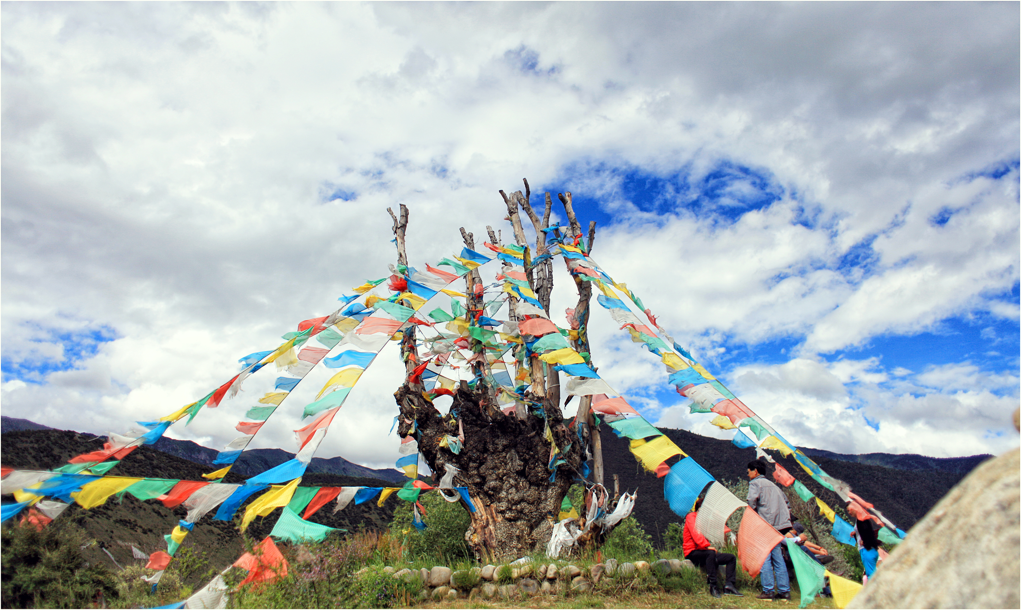 藏族人为什么要生活在高原,藏族为什么能适应高原气候