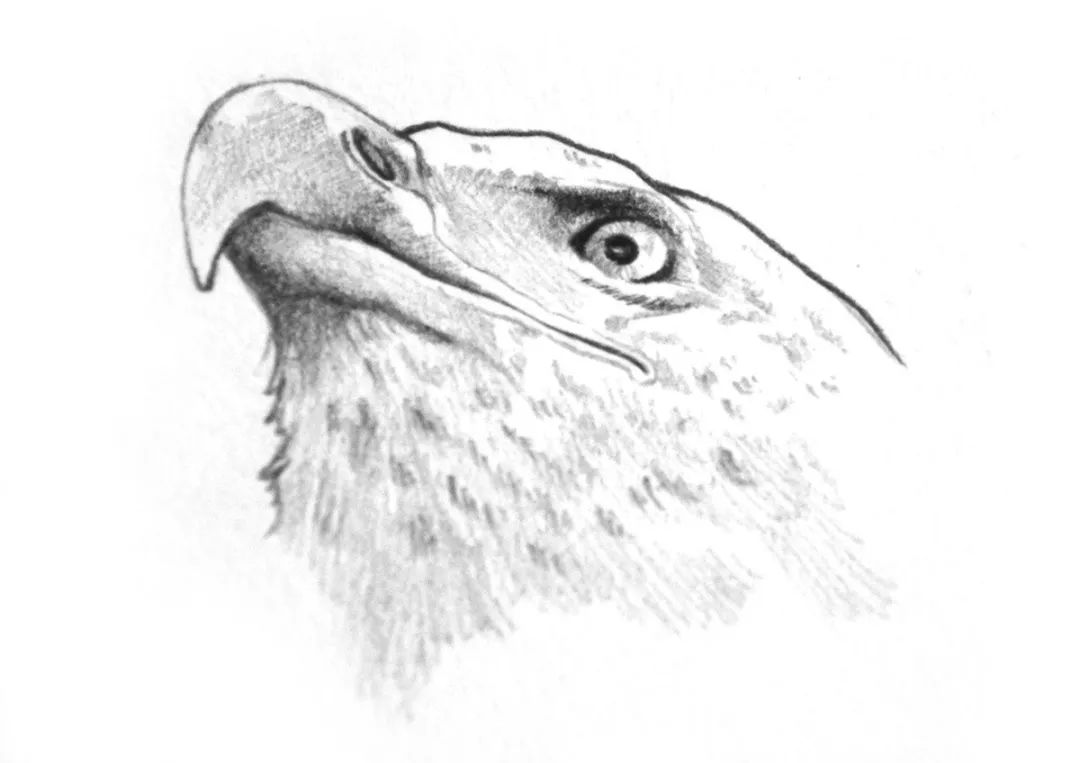 创意包装设计简约也是一种美,令人心动的10款包装设计