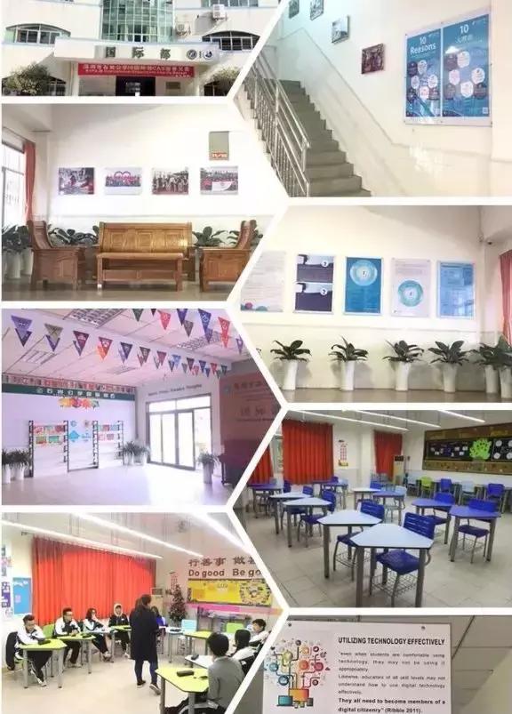 深圳ib国际学校排行榜,深圳市石岩公学ib国际部