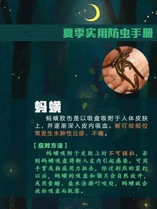 7岁孩子随手拍虫,7岁娃拍死一只虫险烂脸