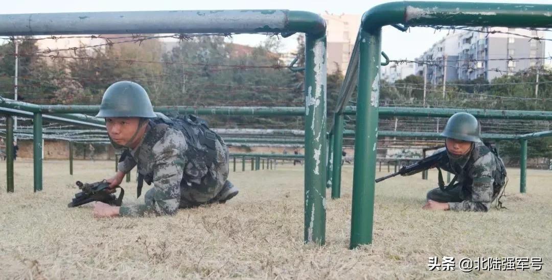 军营里的双胞胎兄弟,双胞胎兄弟真假教官