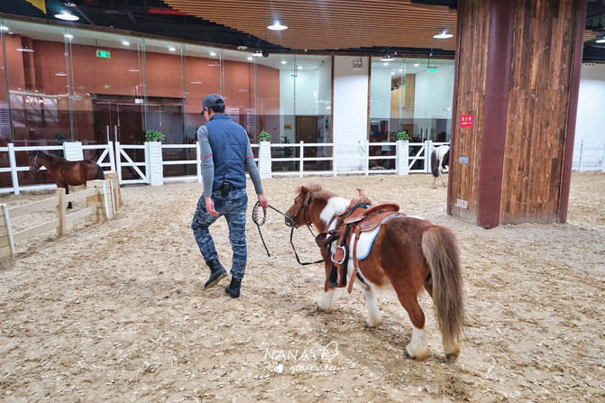 苏州旅游休闲度假推荐,苏州旅游休闲度假攻略