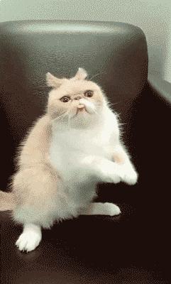 搞笑大哥爆笑图片,搞笑动图走一波