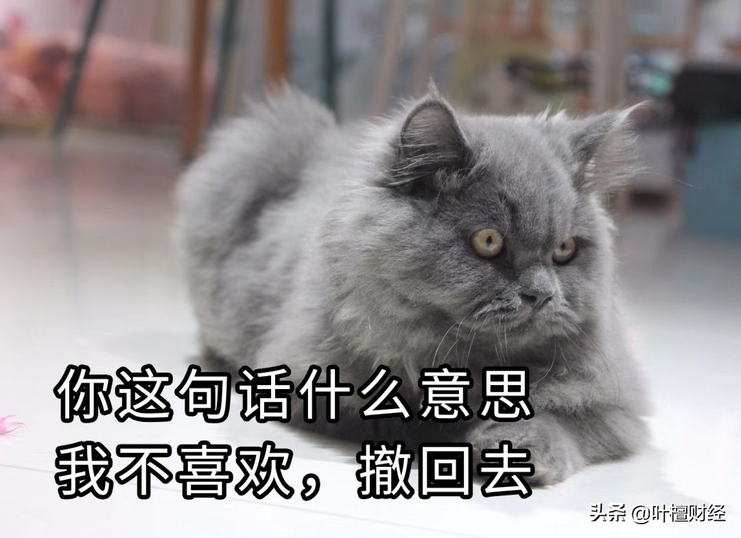 霸气回怼第三者,怒怼第三方催债