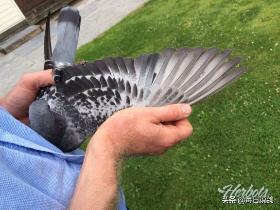 96年巴塞罗那比赛录像,2011年巴塞罗那五冠王