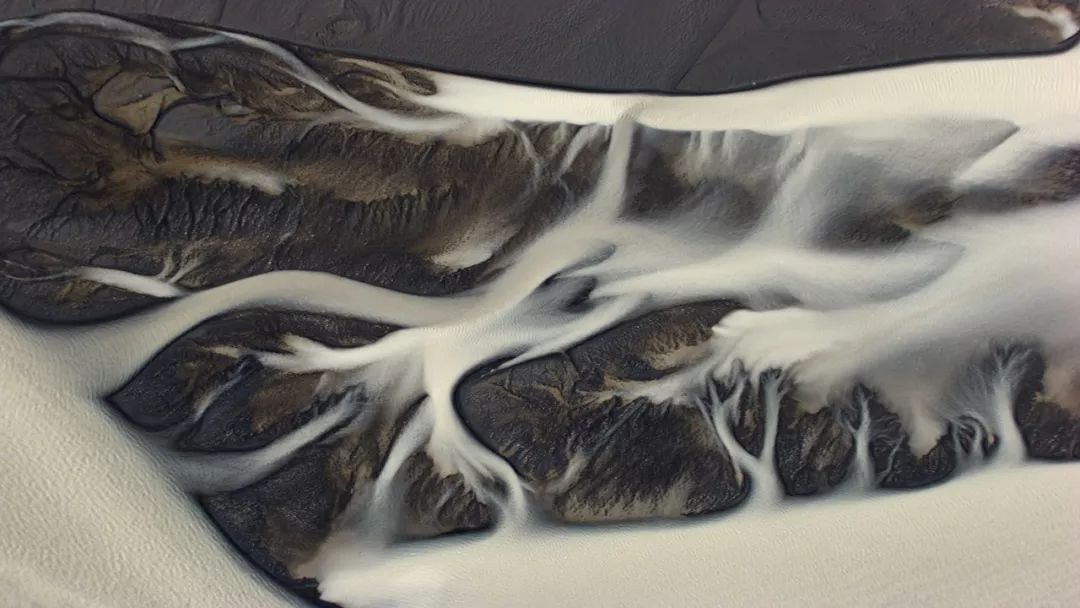 BBC最棒8部纪录片，强烈推荐孩子暑假看