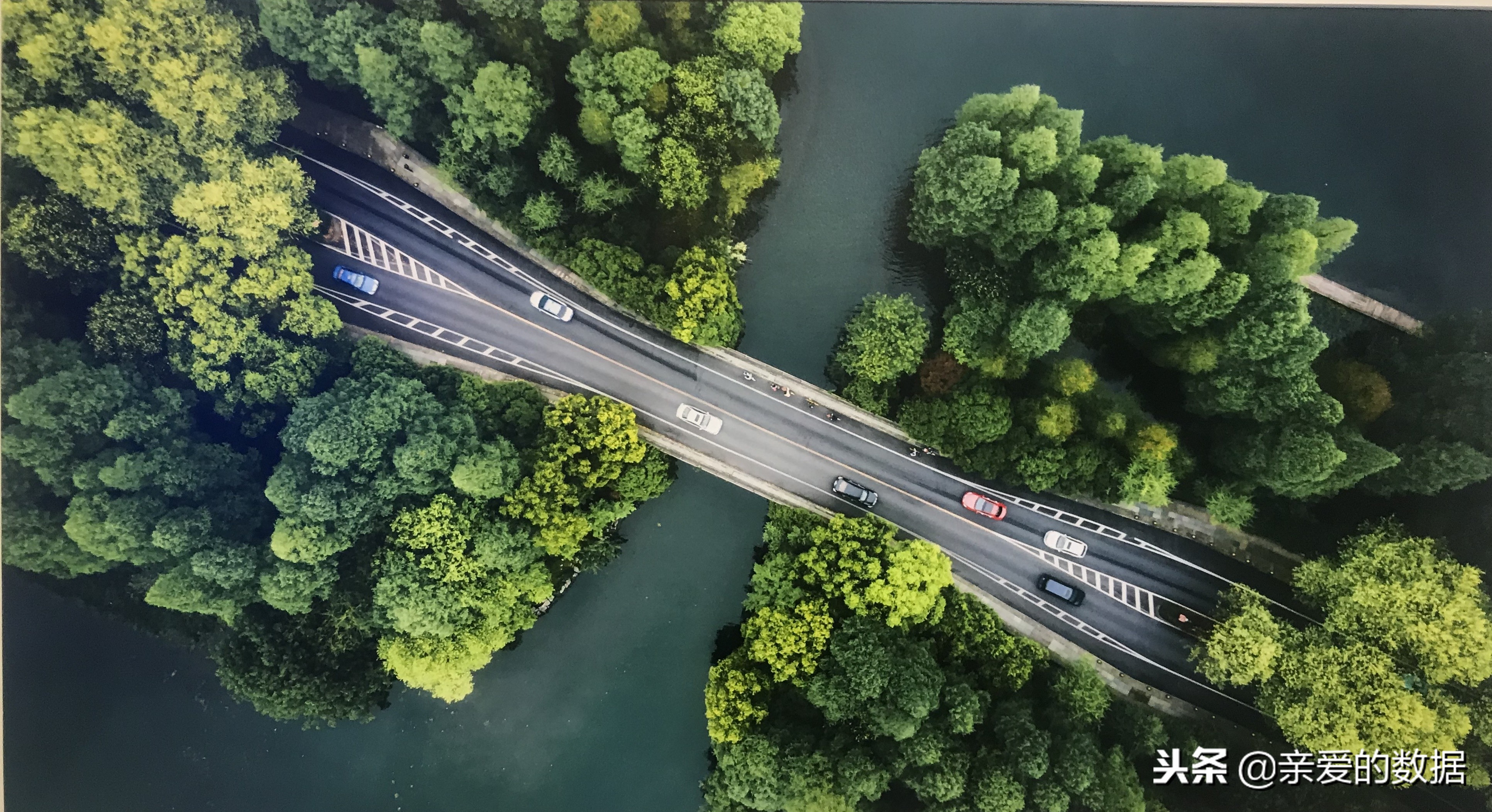 疑似途歌公司就剩几盆花,首汽GoFun却很好,共享汽车走到尽头?