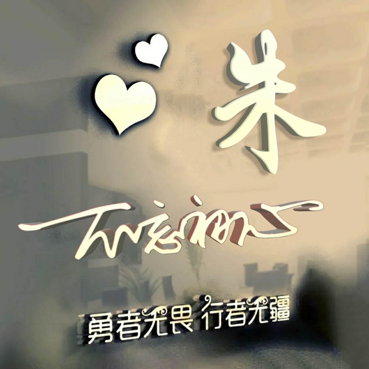 勇者无畏励志姓氏头像王,行者无疆勇者无畏智者无惧