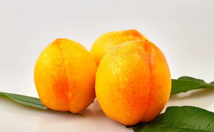 关于中华大地上的那些小知识(河北保定篇-高碑店市)