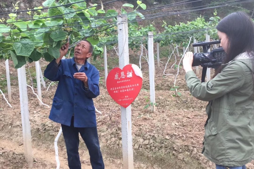 新型农业模式种植什么最赚钱,搞农业致富