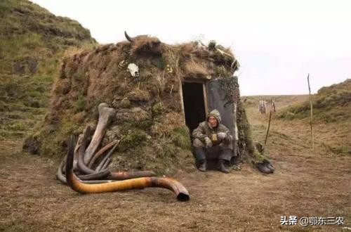 俄罗斯“挖牙客”，一年工作2个月能赚千万元，究竟是什么行业？