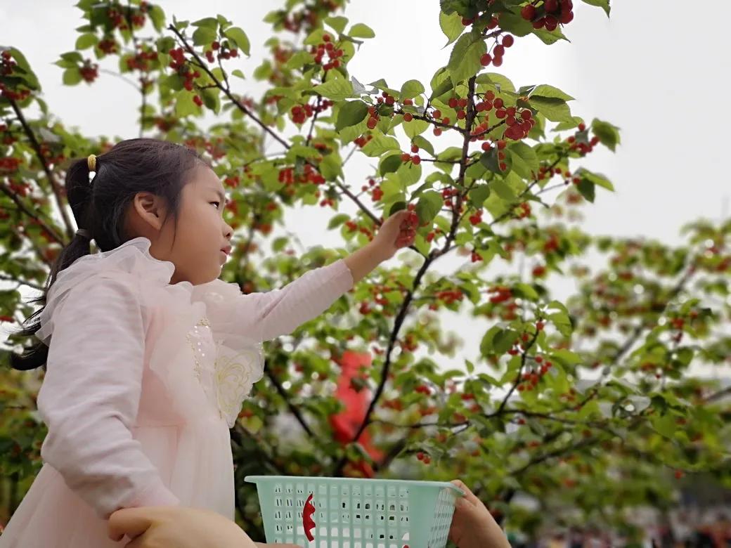 成都市双流区胜利幼儿园主题活动,天府新区幼儿园活动