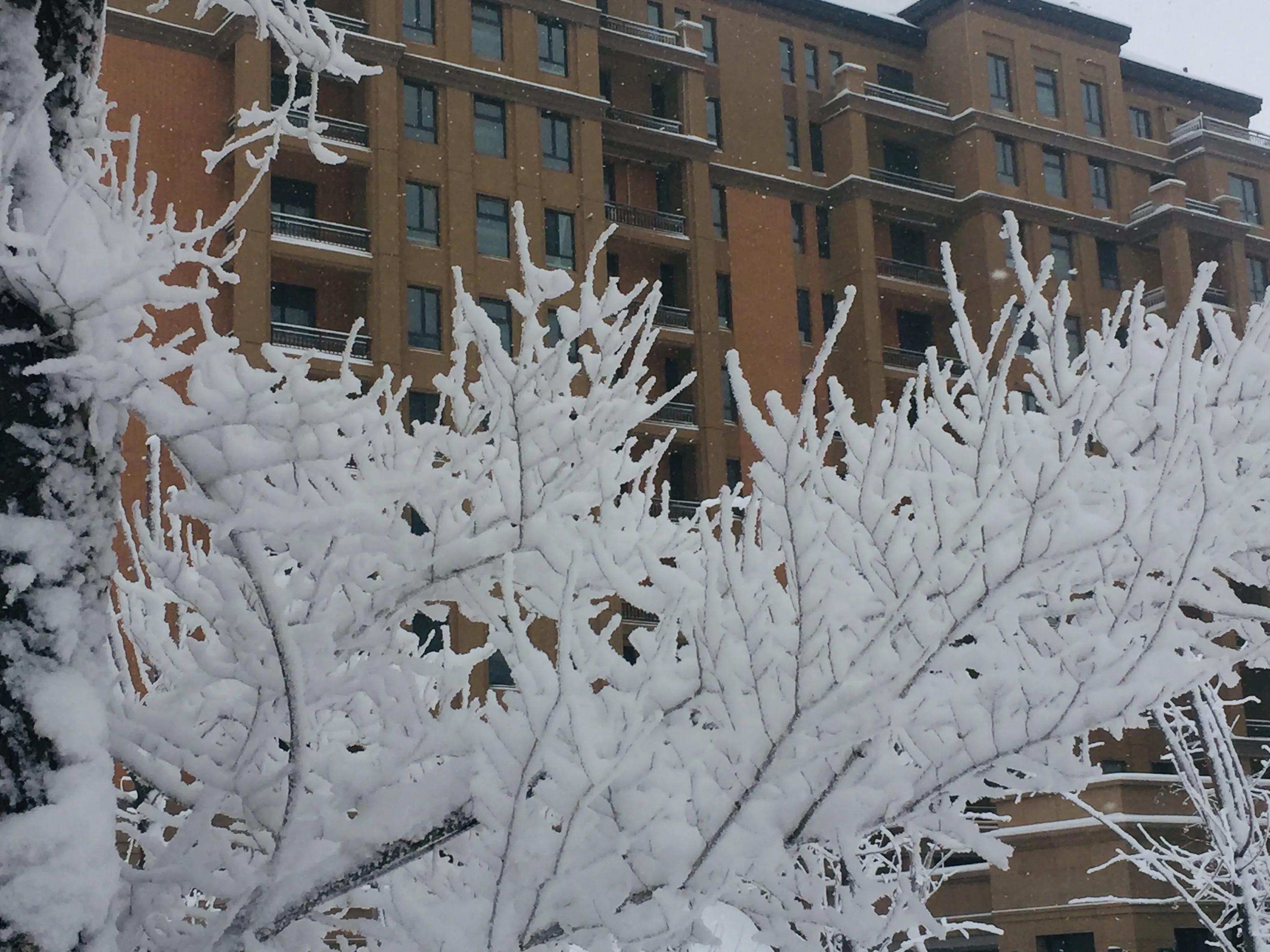 六年前,我被凡尔赛狠狠地撞了一下腰