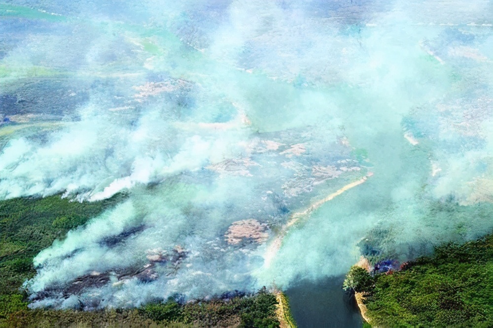 戴森hp09空气净化器能清除什么,戴森hp04能除甲醛吗