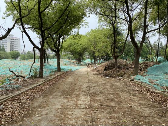 触顶!27142元/㎡栖霞建设再进仙林湖,首创携手58集团打造商业体