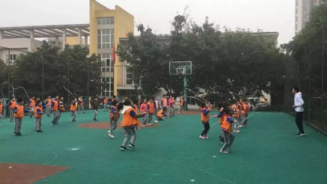 南岸珊瑚小学南山校区,重庆珊瑚小学和树人小学