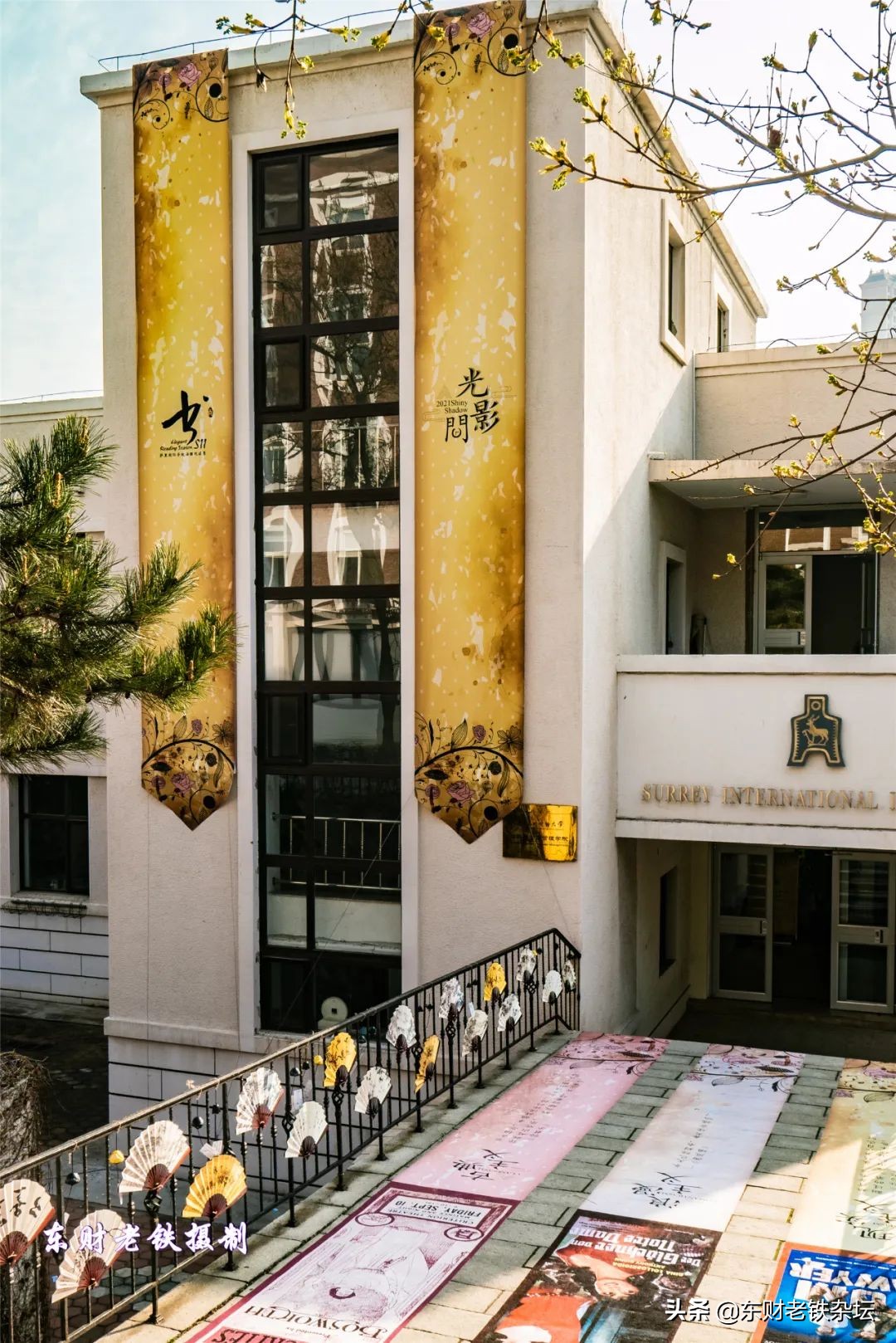 网红美景,网红一棵树樱花园