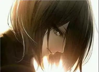 进击的巨人三笠阿尼,进击的巨人三笠结局分析