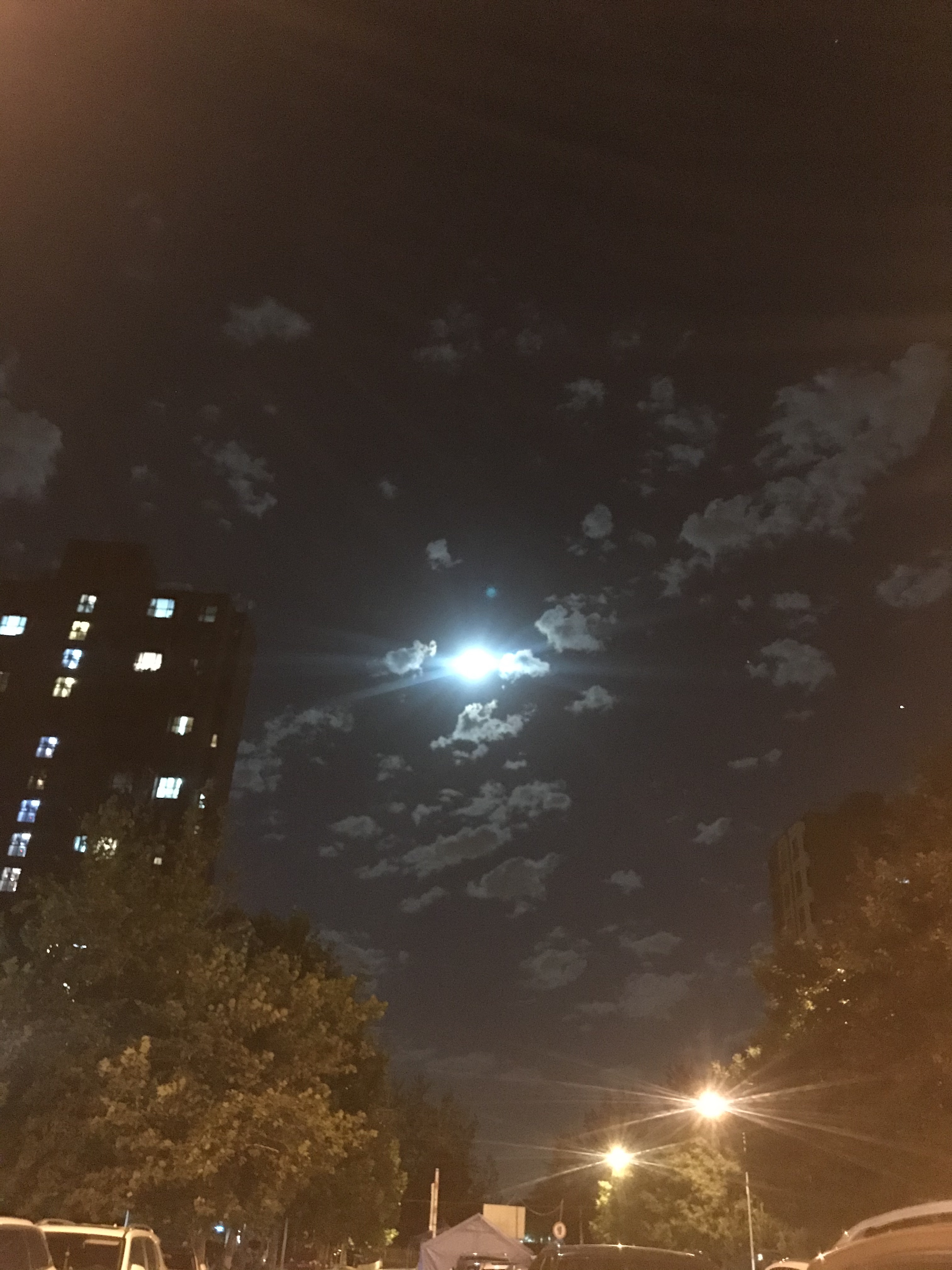 美团跑腿1•新手兼职入门篇