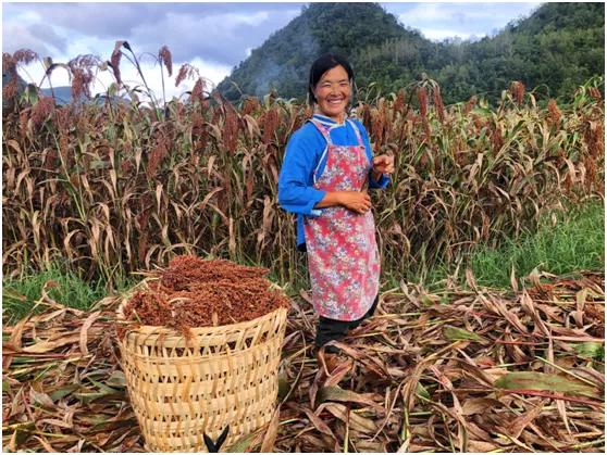 国台凭何领航商业生态？以“聚-合-通””缔结共享共赢的价值纽带