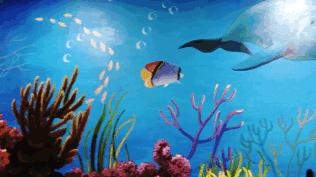 成都市第七人民医院最新通知,成都市第七人民医院是全天门诊吗