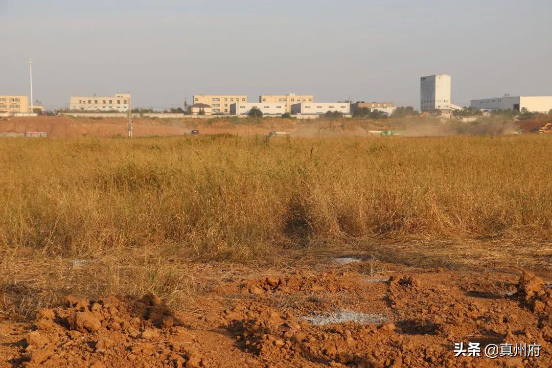 王炳松最新视频,仪征刘集最新规划项目