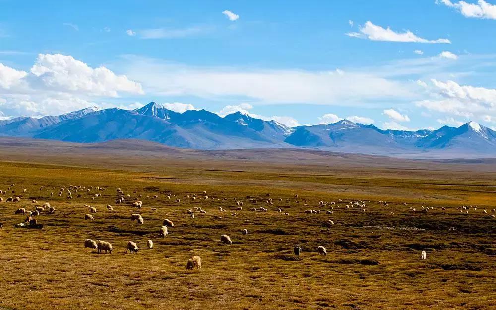 中国六十年代观影最多的电影,18年震撼中国十大瞬间