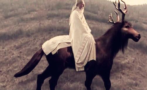 头像马图像,头像马身躯像猪