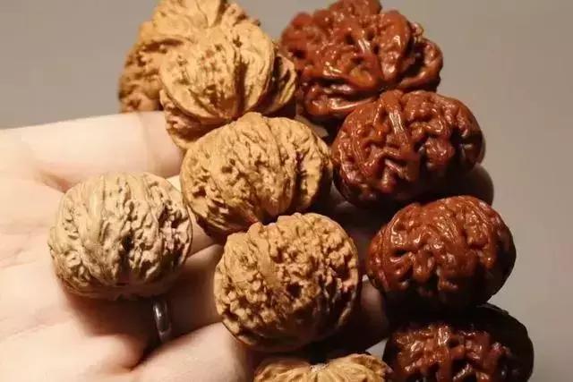 被虐千百遍，还能当初恋对待的恐怕只有它们了……