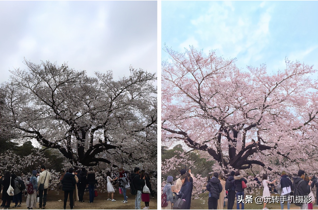 iphone最好用的修图app,ios修图功能最强大的app