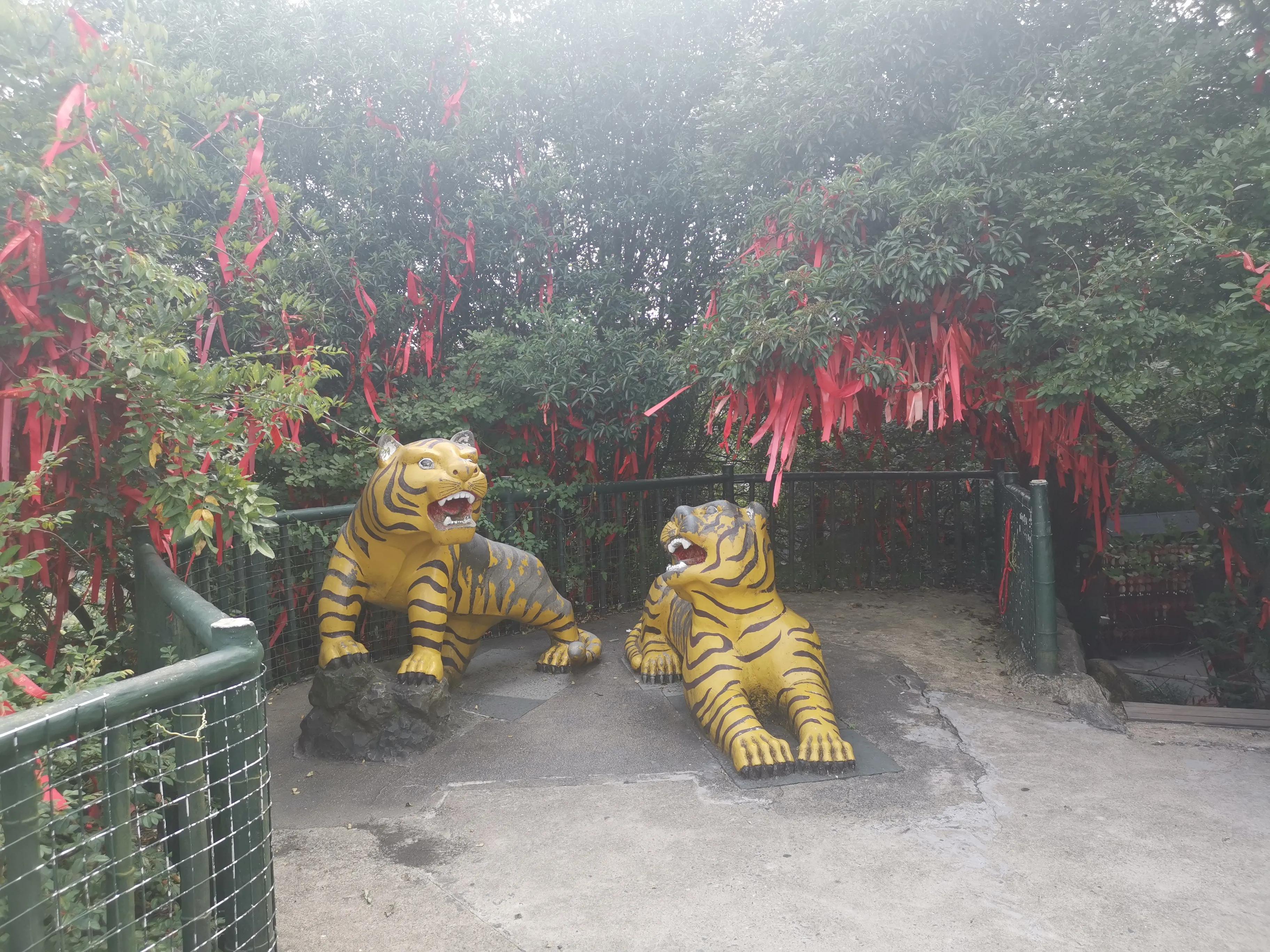 周末韶山一日游:参观了毛*东泽**故居、滴水洞、虎歇坪