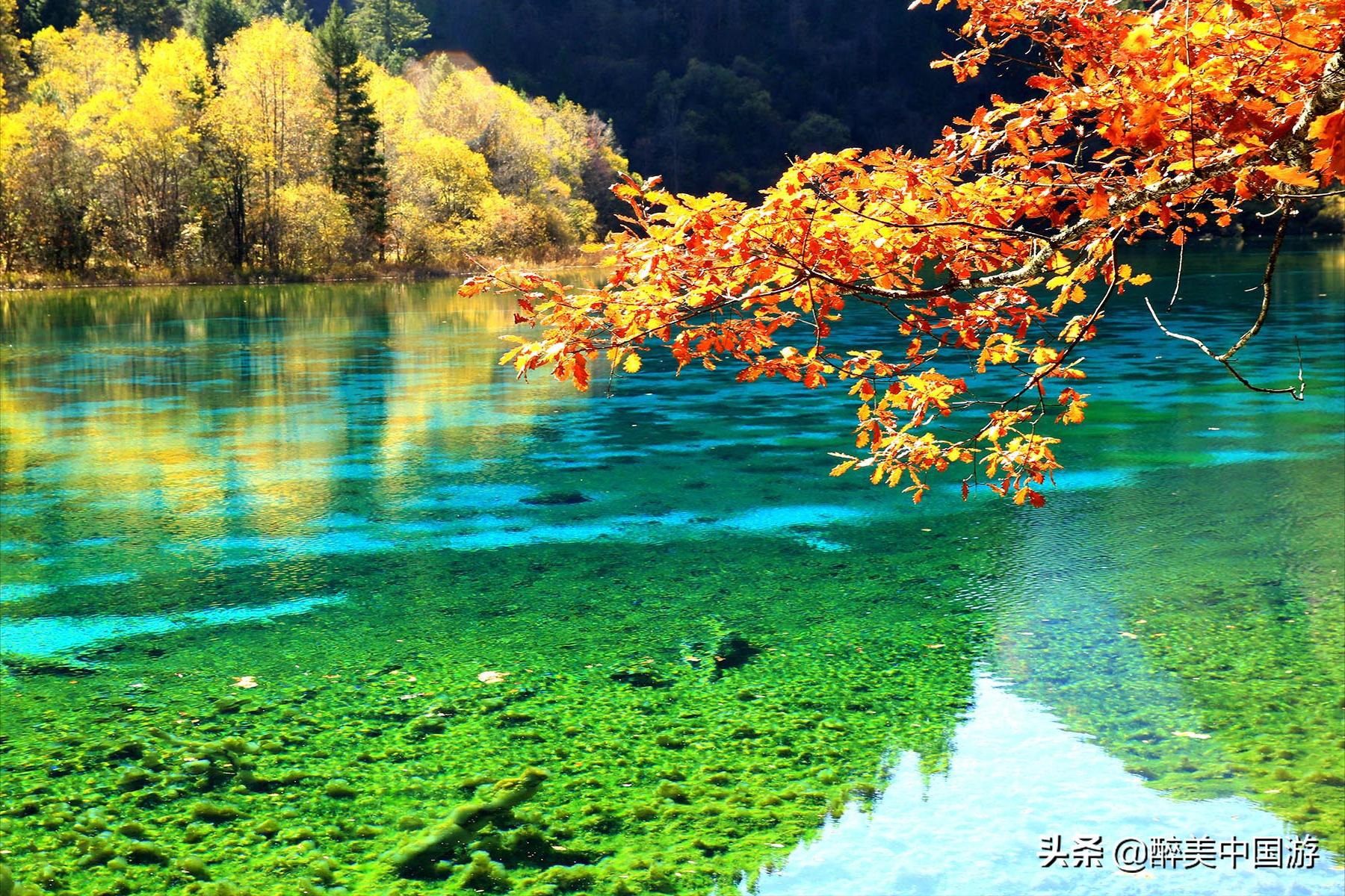 九寨沟需要玩几天,九寨沟可以玩几天