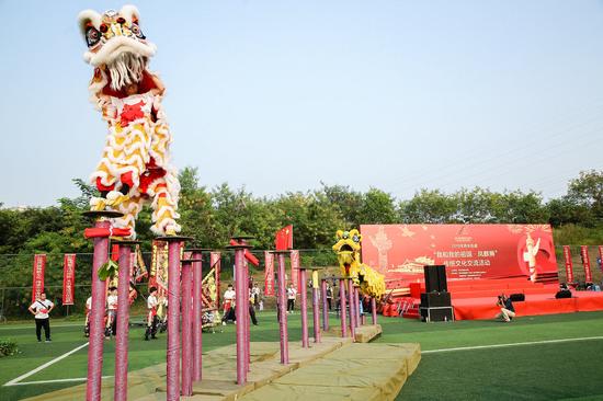 深圳西乡：精彩绝伦凤麒狮非遗为创文代言