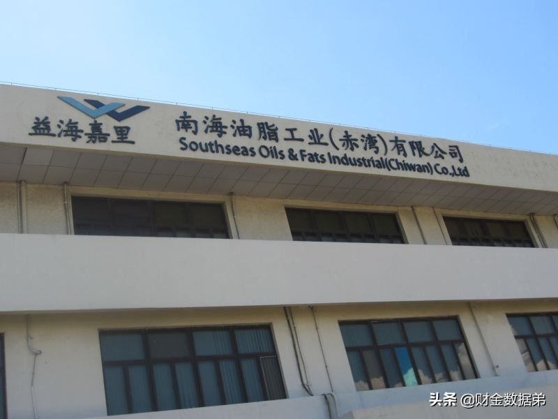 金龙鱼益海嘉里集团,金龙鱼成箱大米